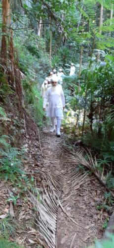 Austrailia Tour May 2019 (52)